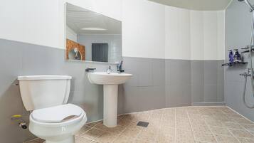 Un baño con inodoro, lavabo y ducha.