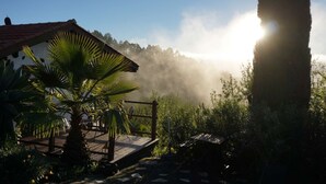 A rustic wooden deck with a palm tree, overlooking a misty forested hillside. - Absolute Ruhe und Alleinlage Über den Wolken, Pool - Panorama Suite El Mirador (Las Tricias)