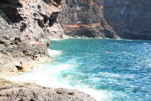Gandules de platja