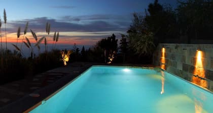 Tiny house bird's nest- vineyard with pool above the clouds, sea view, WLAN