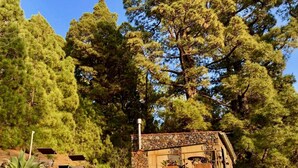 A stone building with a stone wall and a small window, surrounded by trees and plants.