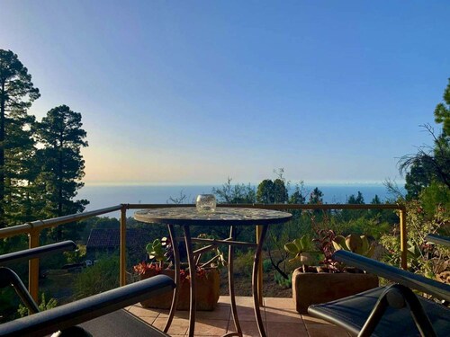 Tiny house bird's nest- vineyard with pool above the clouds, sea view, WLAN