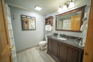 Design Studio, 1 King Bed with Sofa bed, Kitchen, Valley View (Gateway Lodge 5084) | Bathroom | Combined shower/tub, hair dryer, towels