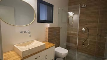 A modern bathroom with a vanity, sink, mirror, toilet, and shower.