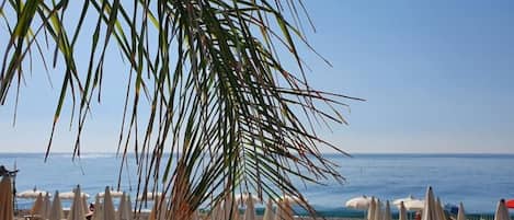 Chaises longues, serviettes de plage