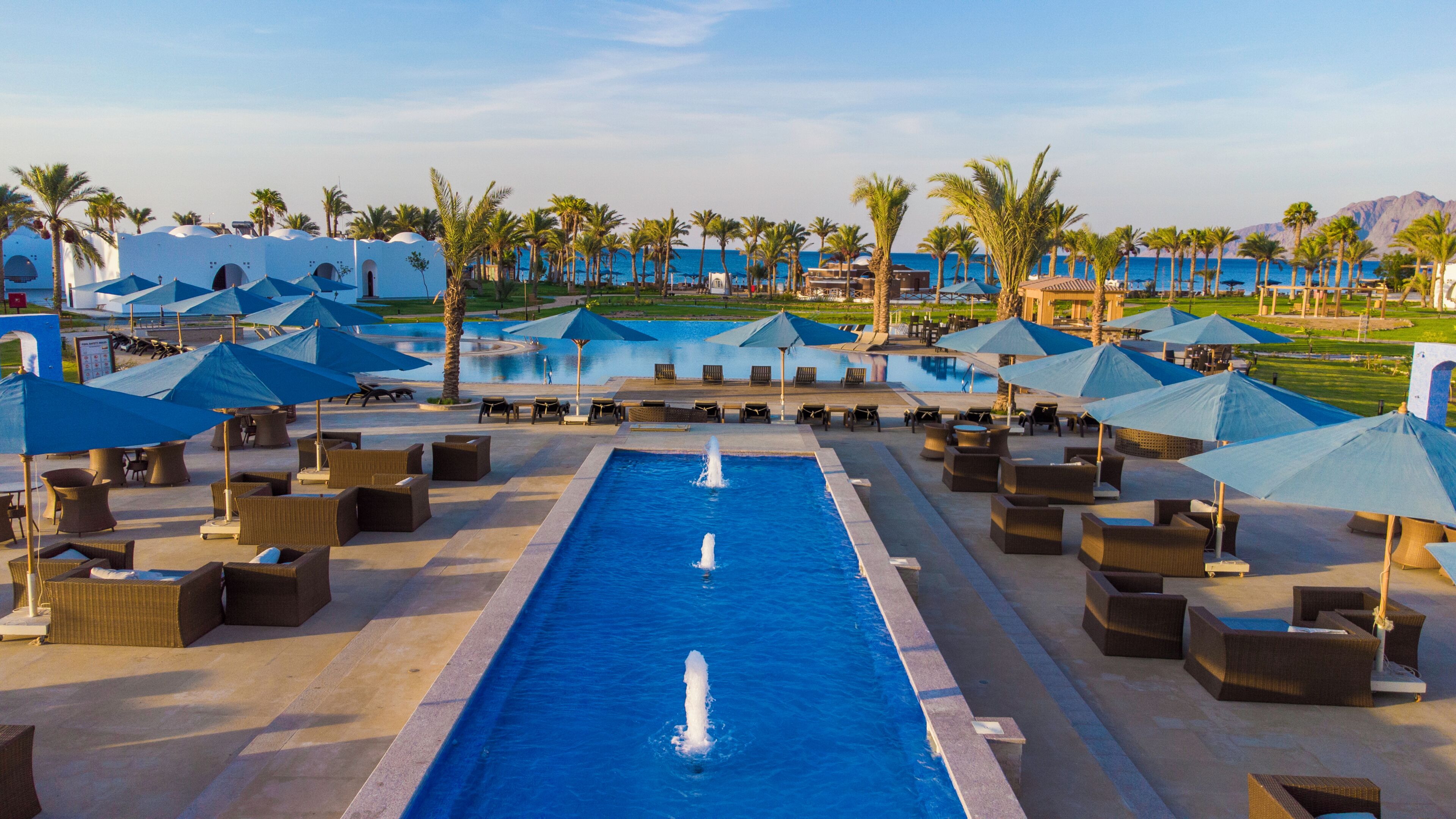 A resort pool area with multiple lounge chairs and umbrellas, surrounded by palm trees and a clear view of the ocean.