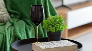 Een kleine, zwarte tafel met een boek, een glas rode wijn, een groene plant en een groen kleed in een moderne woonkamer.