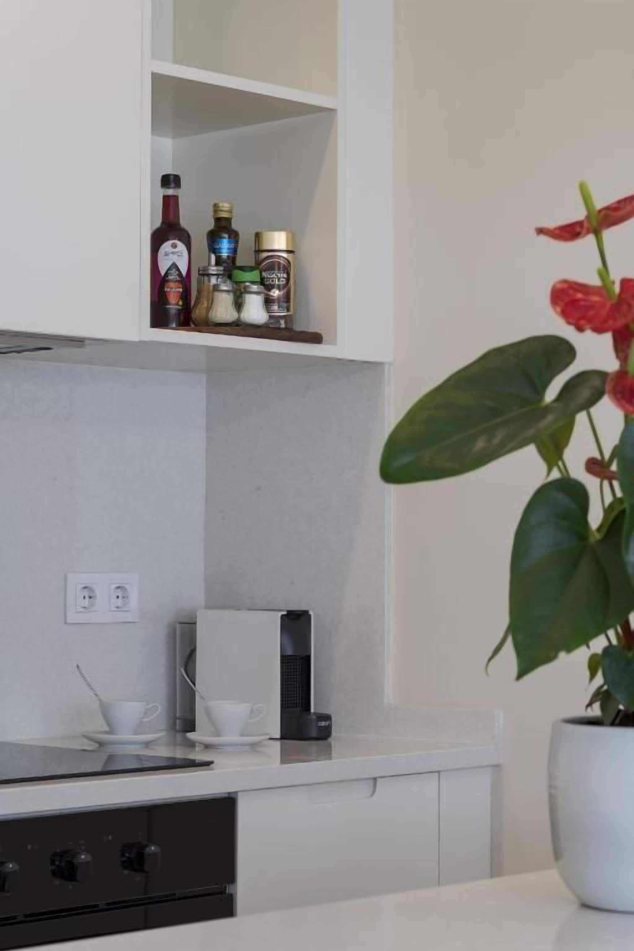 A modern kitchen with a white countertop, a coffee machine, and a potted plant.