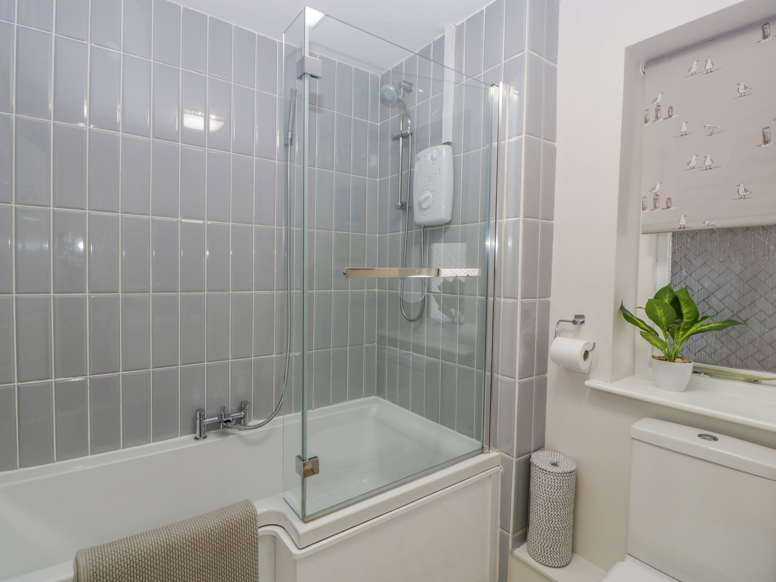 Shower