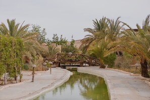 Terrace/patio - Siwa Shali Resort (Siwa)