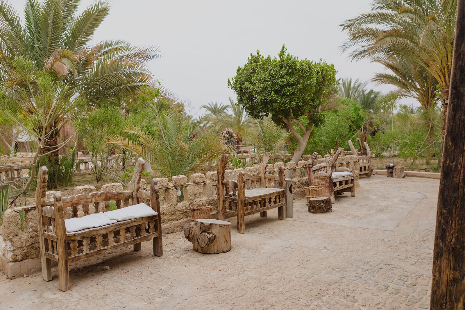 A courtyard with rustic wooden benches and palm trees.