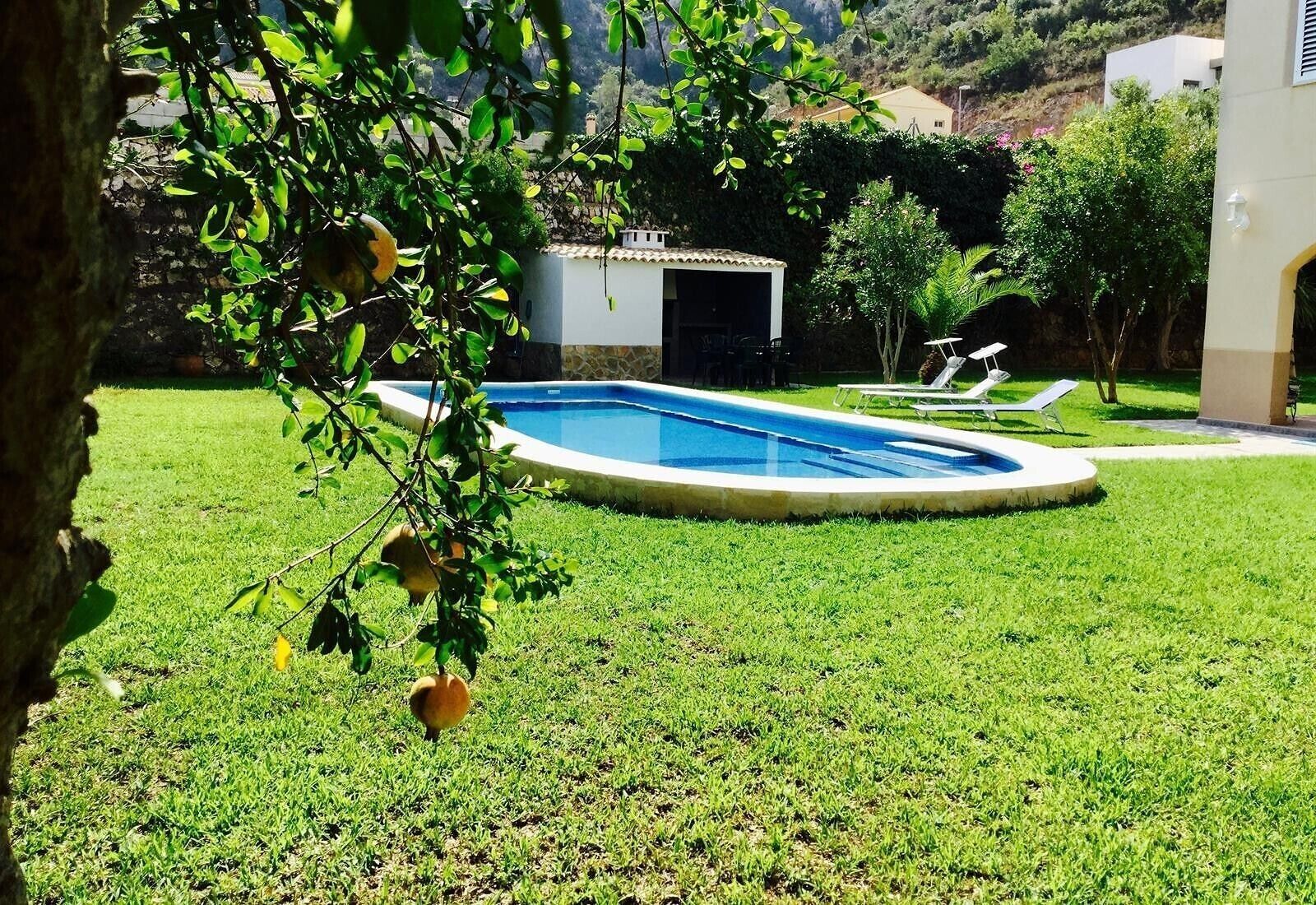 Une piscine entourée d’une pelouse bien entretenue, d’un petit bâtiment et d’un arbre fruitier.