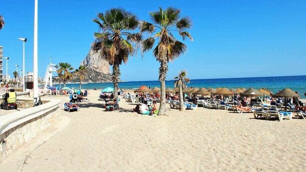 Ein Strand mit Palmen, Liegestühlen und Sonnenschirmen.