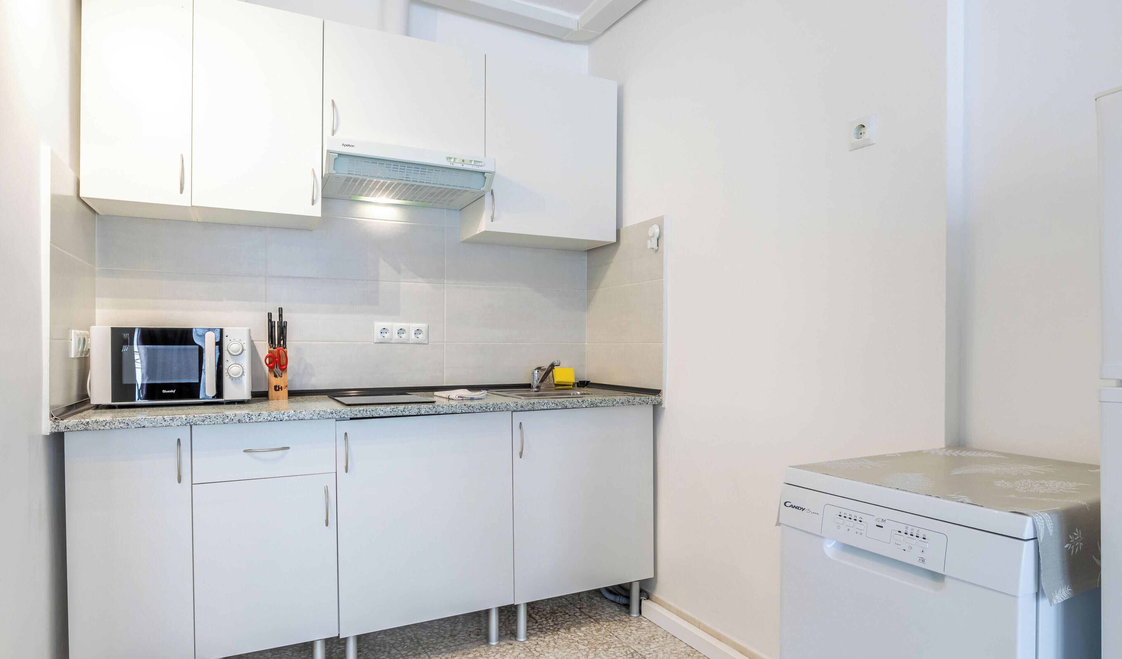 A compact kitchen with white cabinets, a built-in microwave, and a dishwasher.