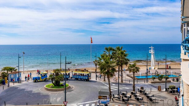 Vista costera con playa, palmeras y un tranvía azul.