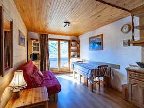 DVD player - 10m from ski slopes, 3rd floor, view ski slopes, balcony, parking, tv, 32m², Méribel-Mottaret (Méribel - Les Allues)