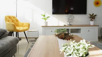 Smart-TV, Kamin