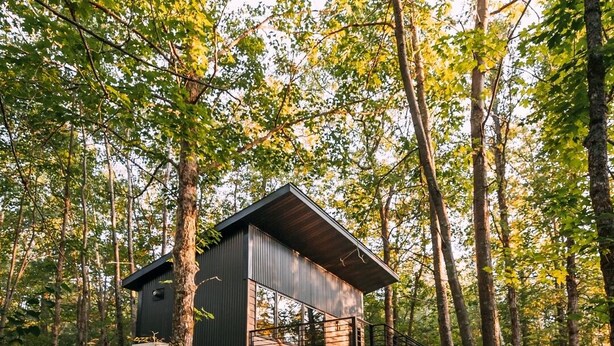 Una cabaña en un bosque con una terraza de madera y un ventanal grande.