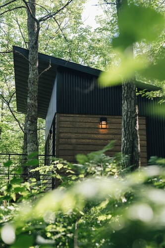 Northwoods Tiny Cabin Wald Near Itasca State Park