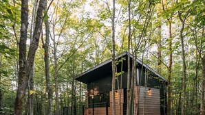 A cabin in a forest with a dirt path leading to it, surrounded by trees.