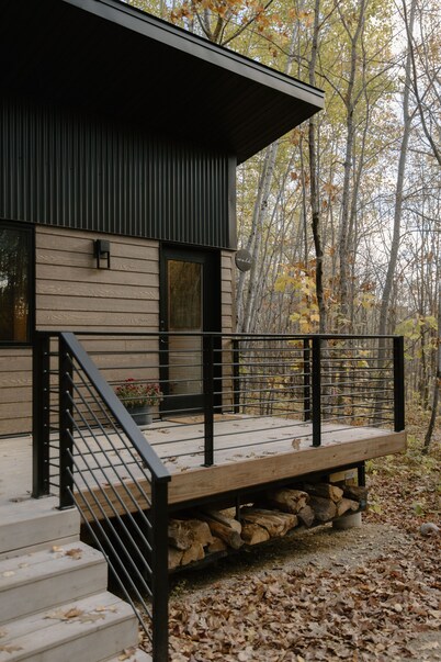 Northwoods Tiny Cabin Wald Near Itasca State Park