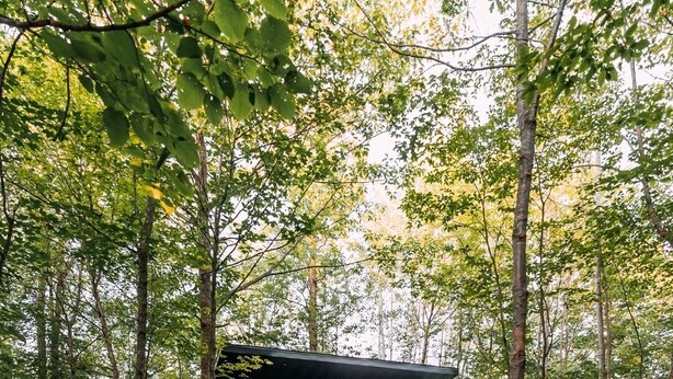 A cabin in a forest with a fire pit and a deck.