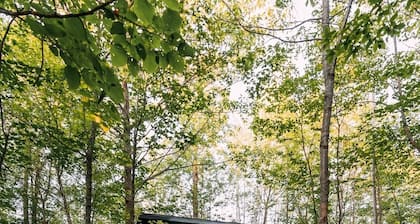 Northwoods Tiny Cabin Wald Near Itasca State Park