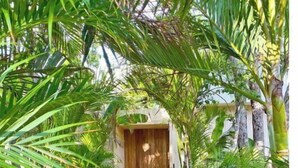 A pathway leading to a wooden door surrounded by lush greenery. - Casa Areca, 4 bed/4.5 bath World Renowned Design Villa, Pool, Rooftop, 24/7Guard (Tulum)