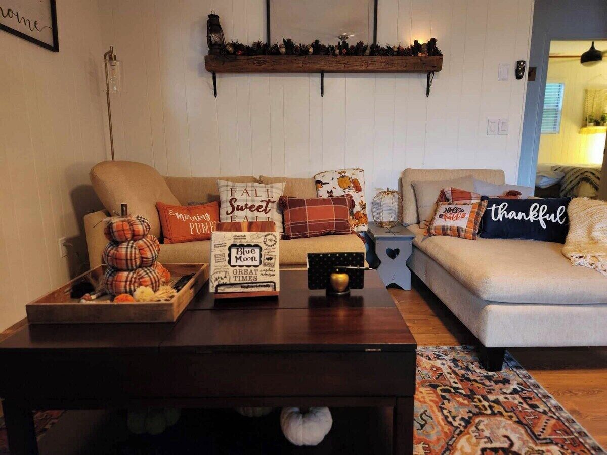 Un salon avec deux canapés, une table basse et des coussins décoratifs.