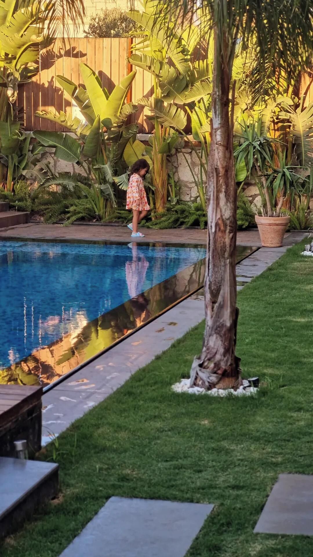 Una piscina con cubierta de madera y zona verde con plantas tropicales.