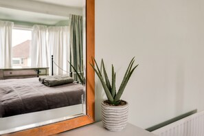 A bedroom with a bed, a potted aloe vera plant, and a mirror reflecting the room.