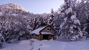 Eksteriør