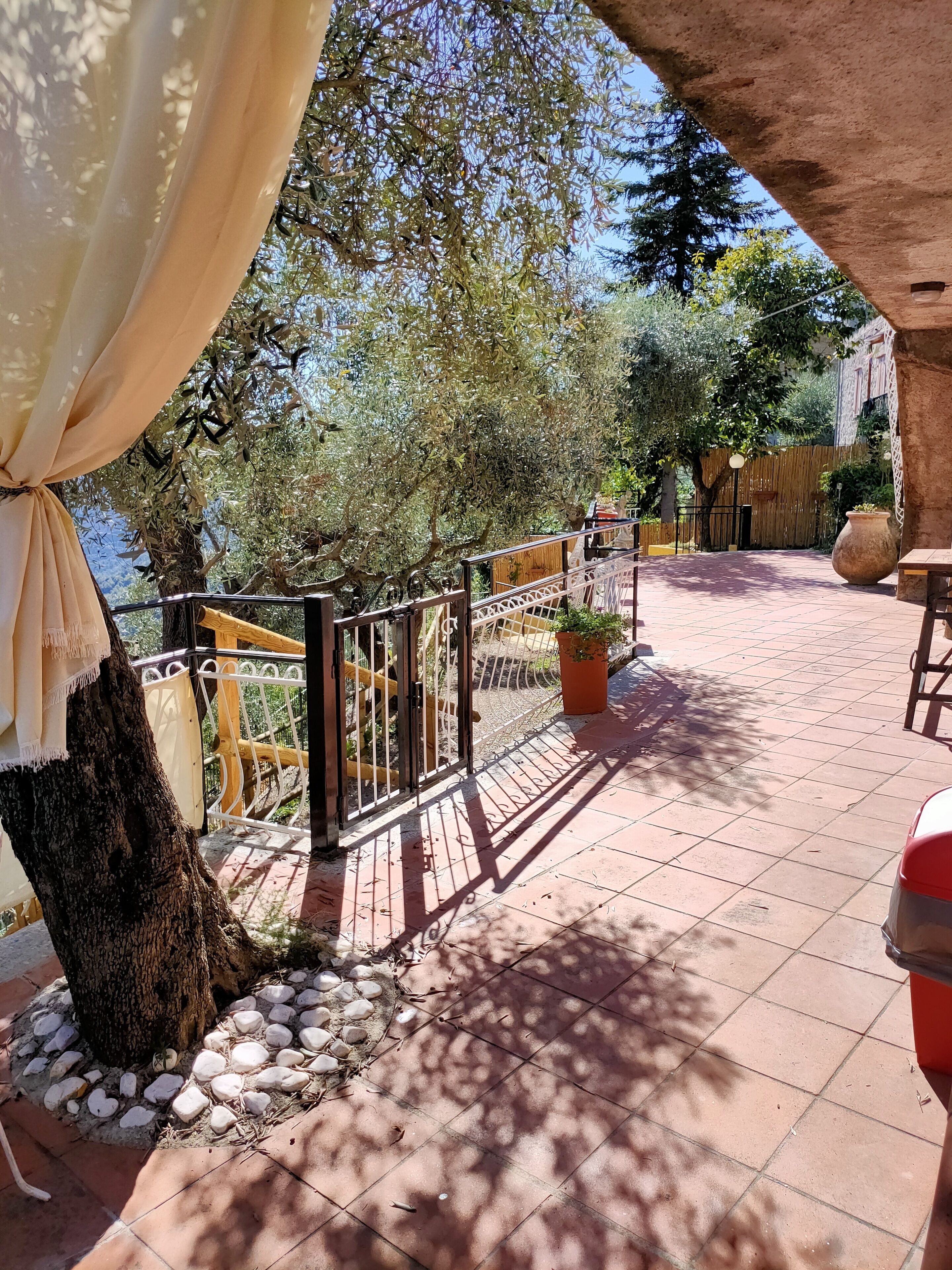 An outdoor patio with a tiled floor, a metal railing, a large potted plant, and a tree trunk.