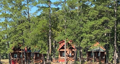 Cozy Cabin in Big Sandy