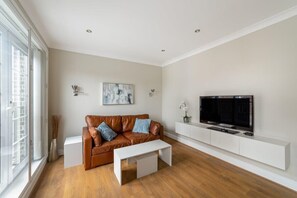 Fernseher, Arbeitsbereiche