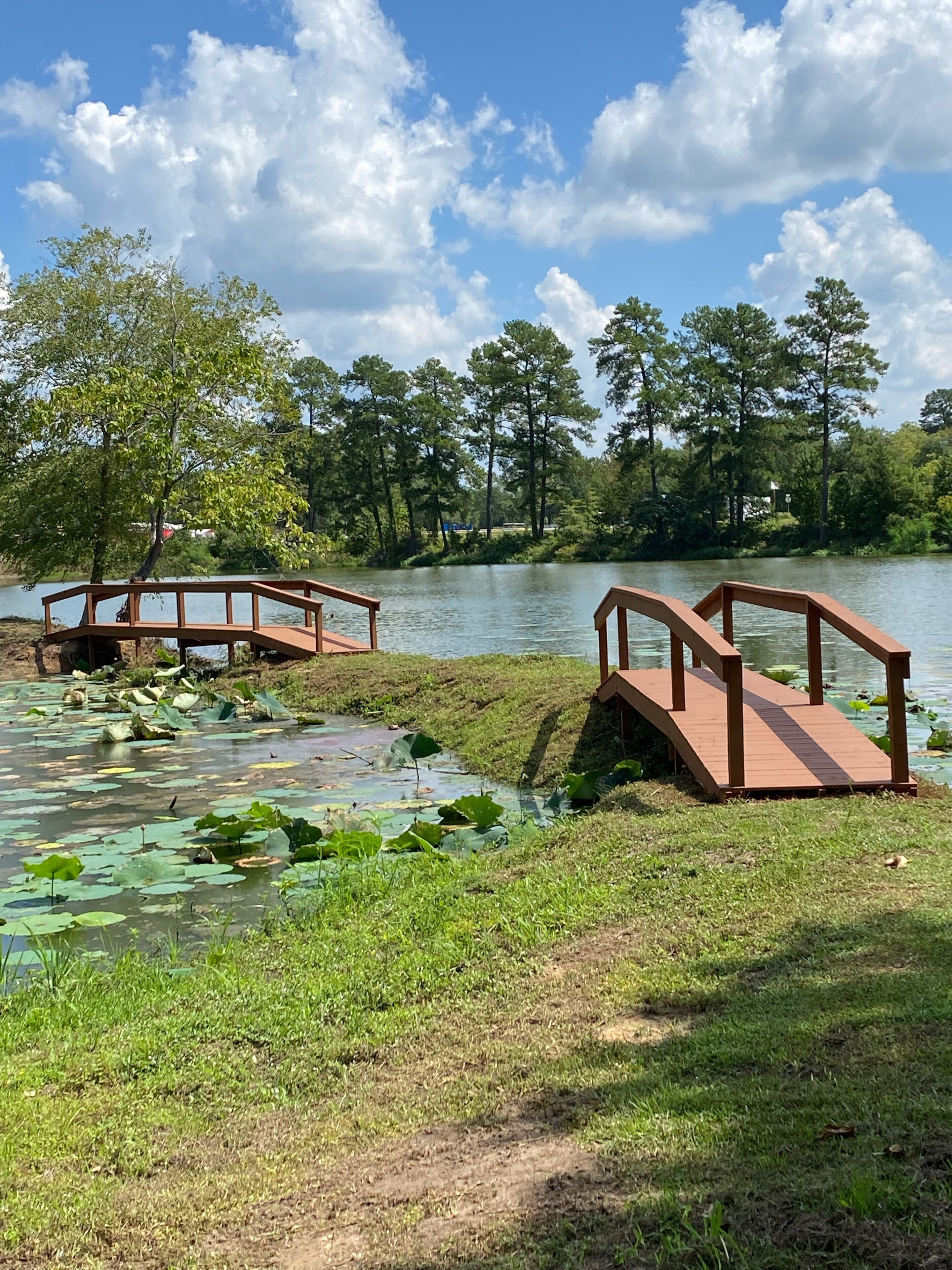 Een vredig park aan een meer met houten bruggen over rustig water, omringd door weelderige begroeiing en bomen.