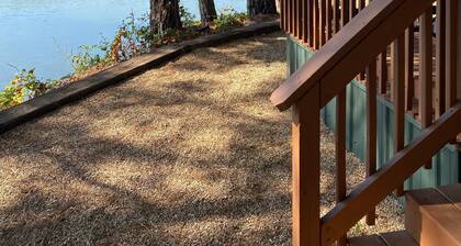 Cozy Cabins in Big Sandy