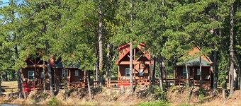 Cozy Cabins in Big Sandy 