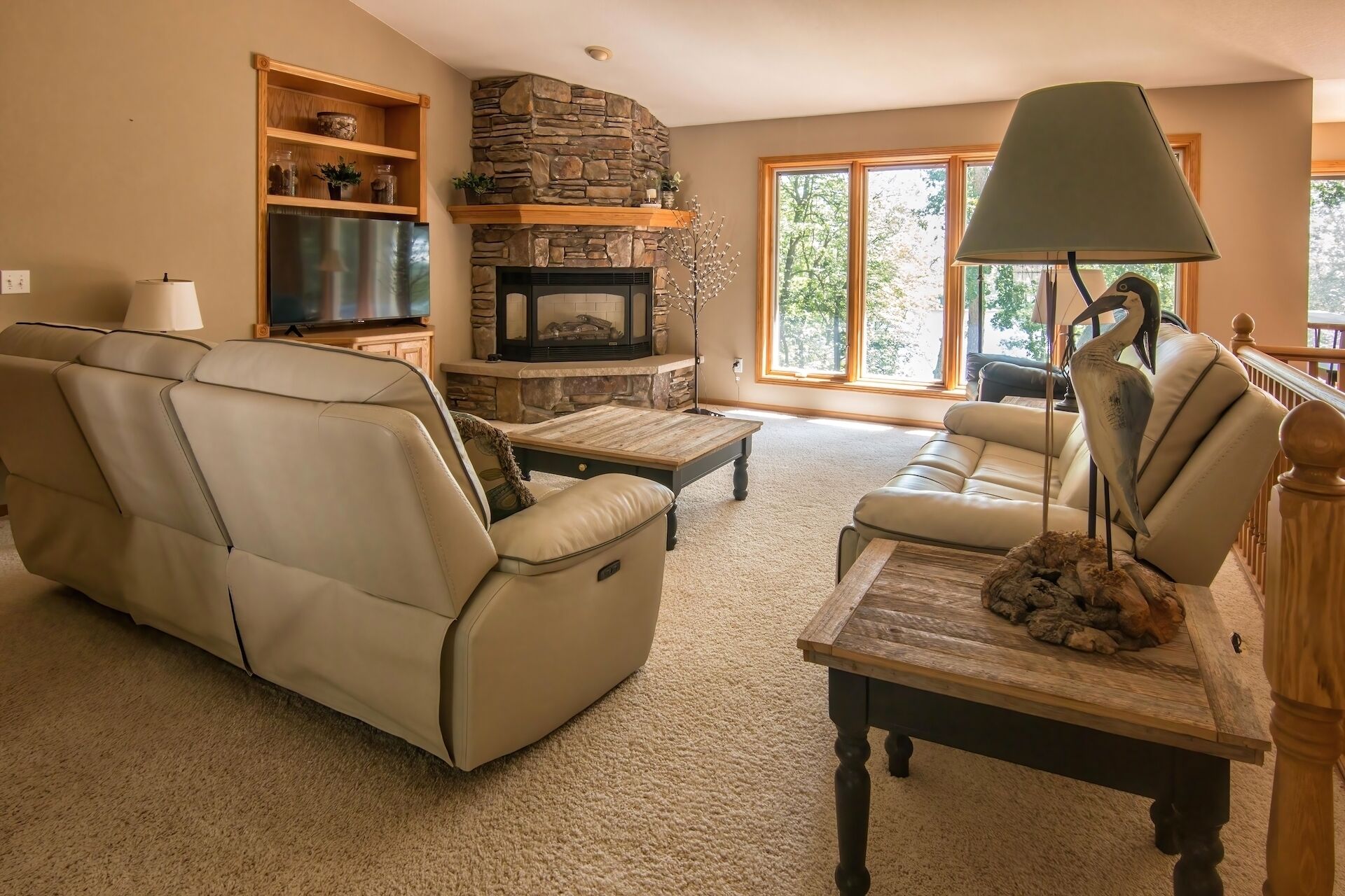 Smart TV, chimenea y libros 