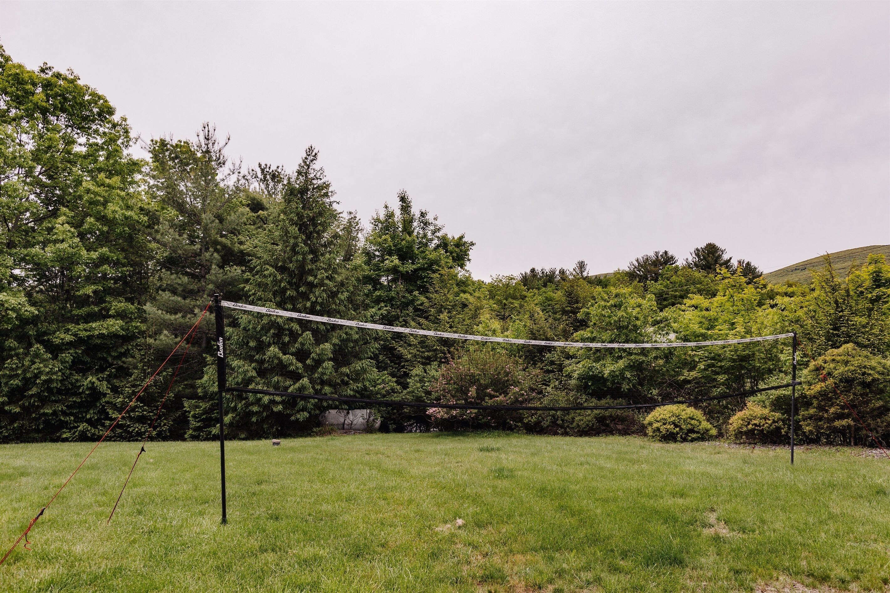 A volleyball net in a grassy field with trees in the background.