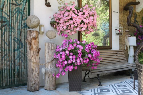 studio cosy avec grande terrasse et vue sur la rivière la Dore