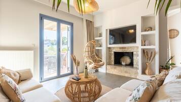 TV, fireplace, books