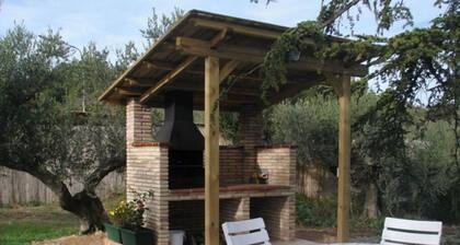 Mas Guilló Casa