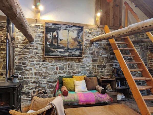 Smart TV, fireplace, books, video library
