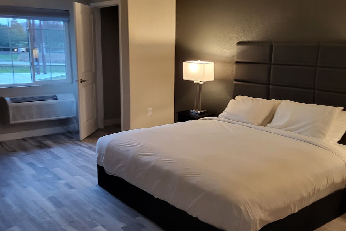 Studio Suite | 1 bedroom, desk, iron/ironing board, free WiFi
