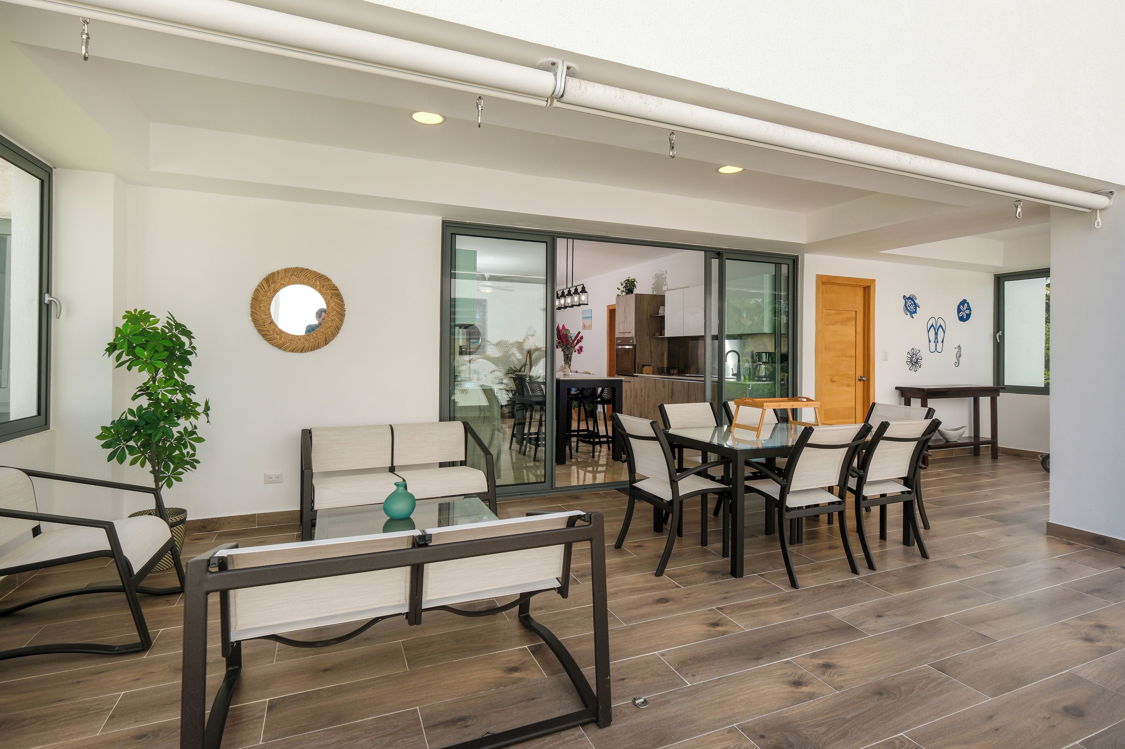 A modern dining area with a glass table and chairs, a potted plant, and a wooden floor.