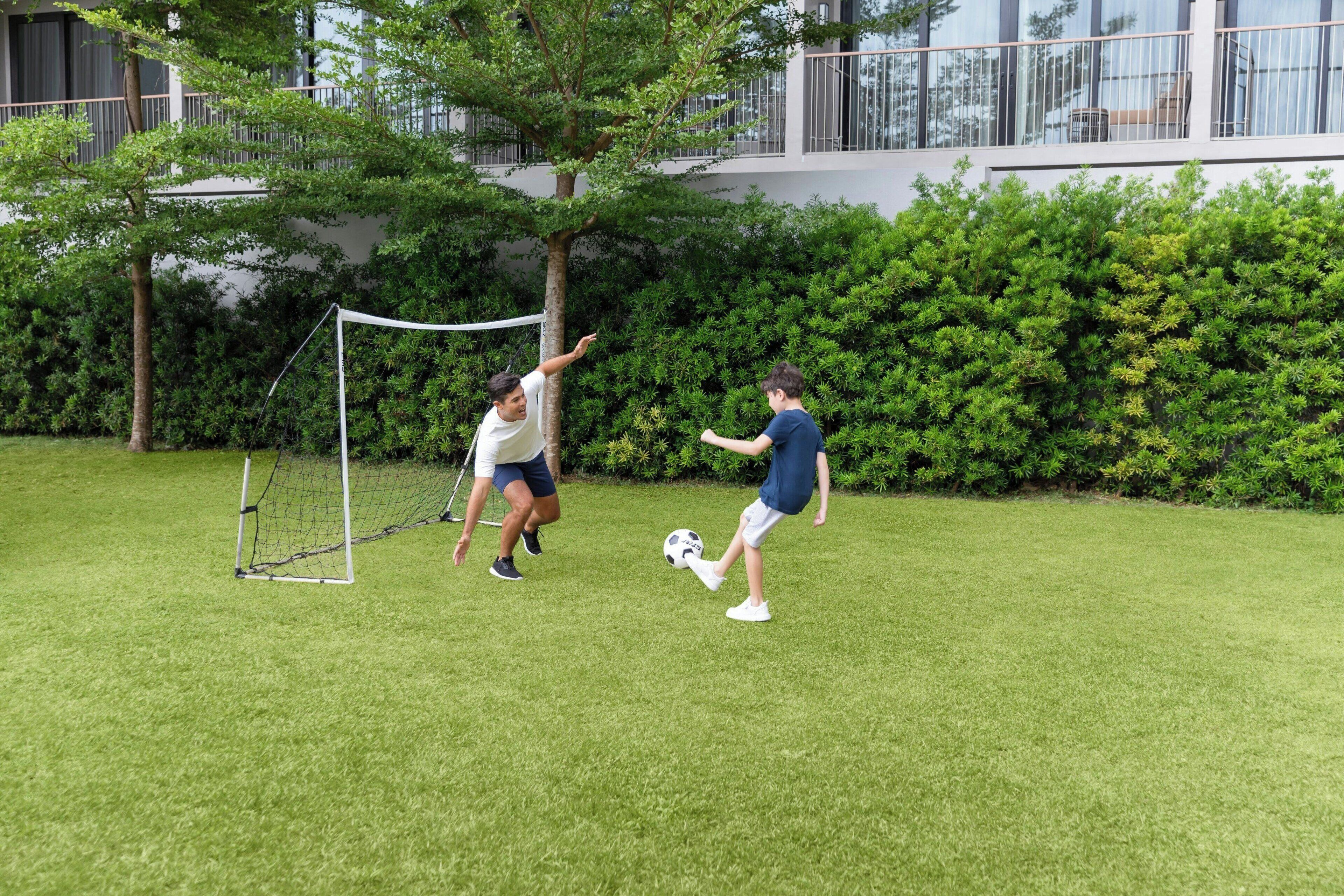 A grassy area with a soccer goal and a tree.