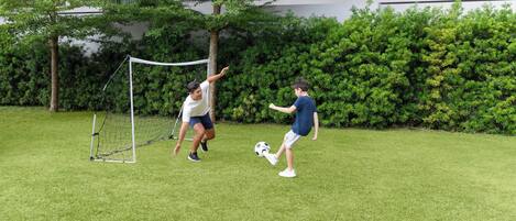 Une zone herbeuse avec un but de football et un arbre.