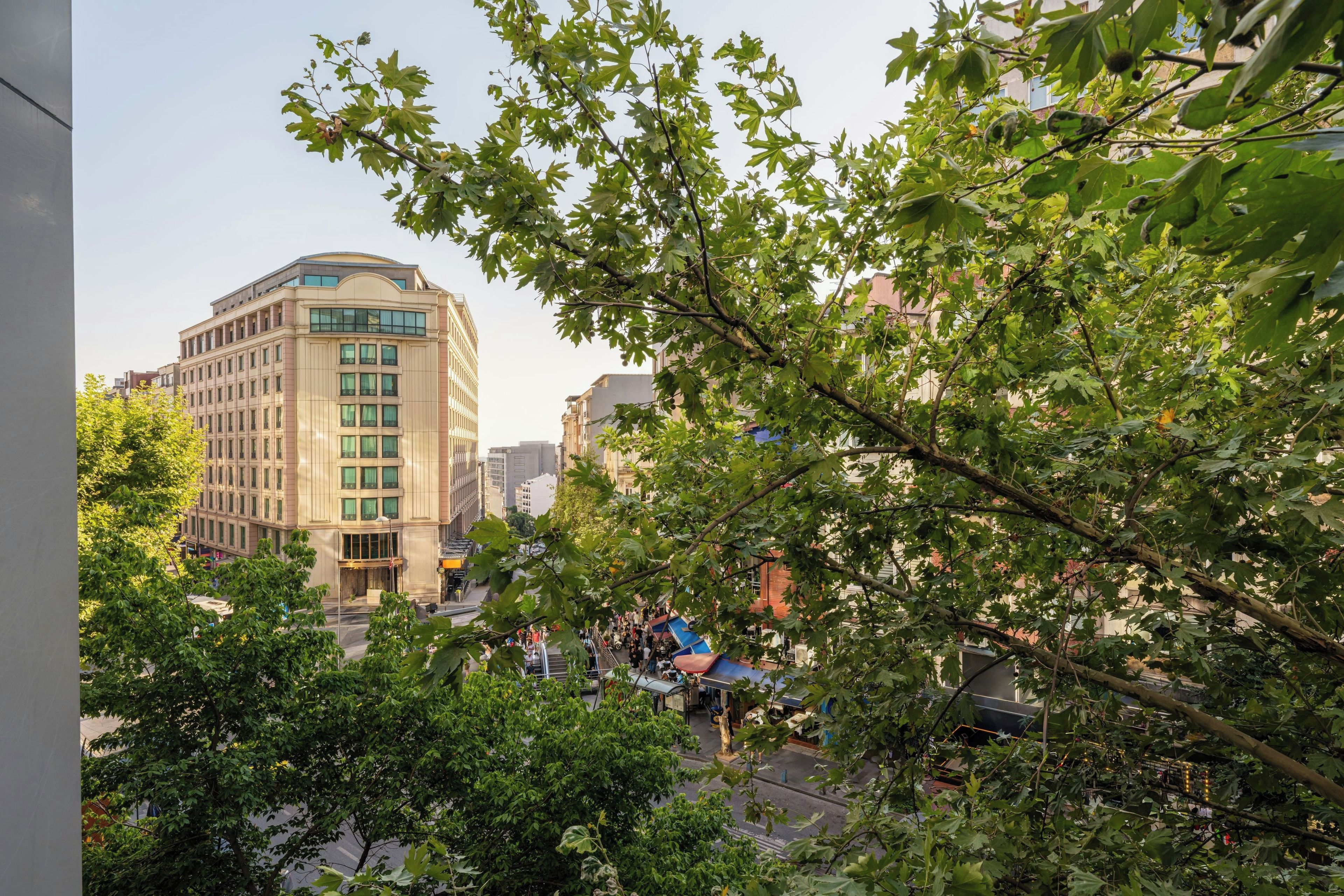 A multi-story building with a modern architectural design, surrounded by lush green trees.