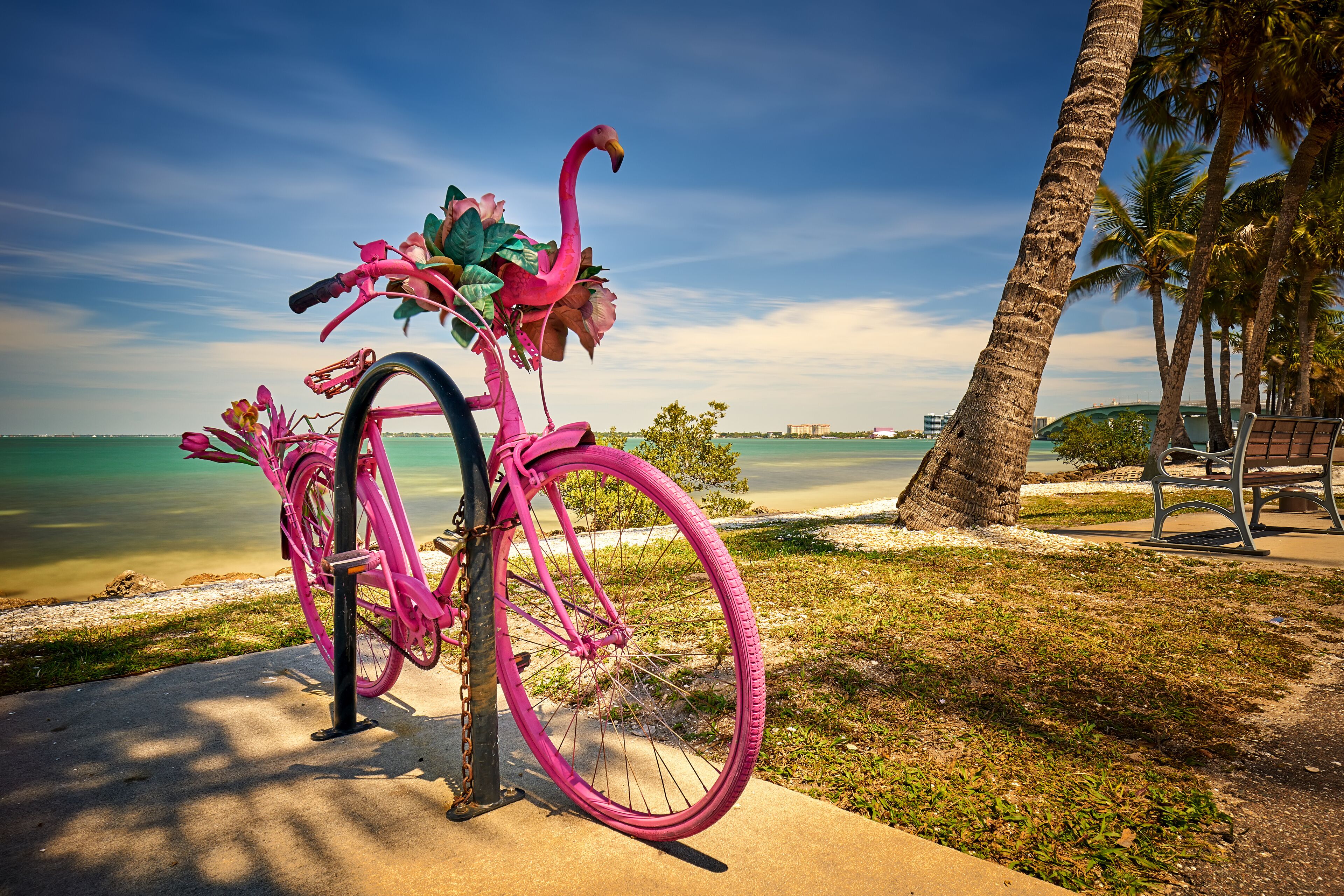 Un vélo rose orné d’un motif de flamant rose est garé sur un chemin de béton, près de la plage.
